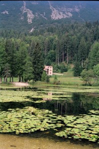 Panorama in Trentino 3